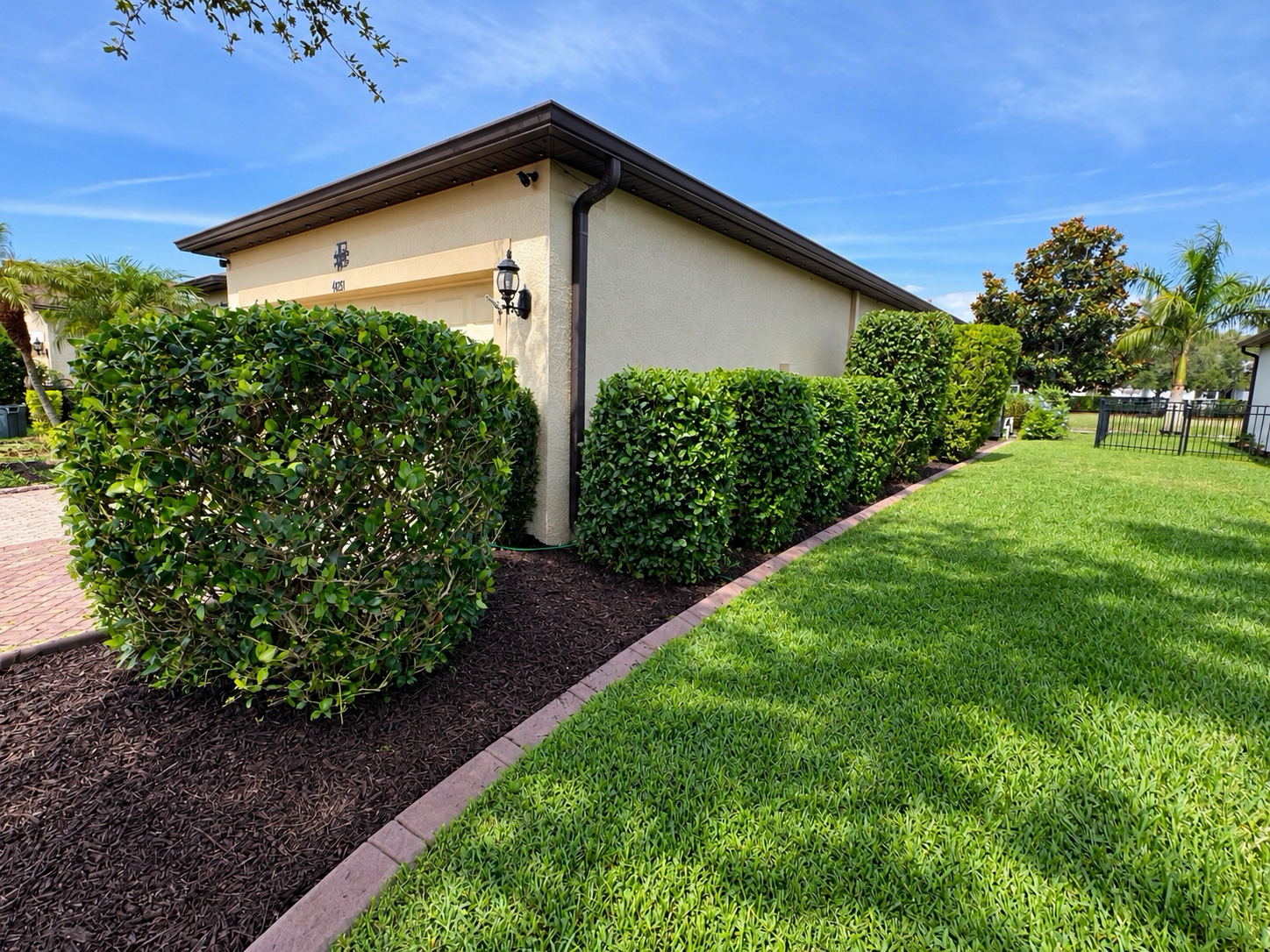 Professional lawn maintenance