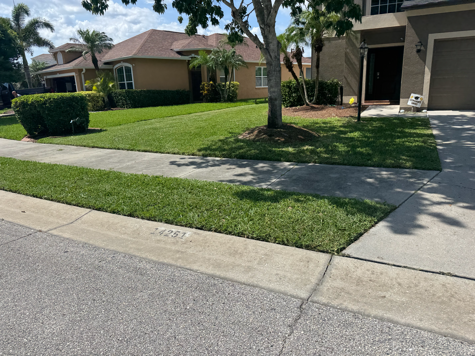 Freshly mowed residential lawn