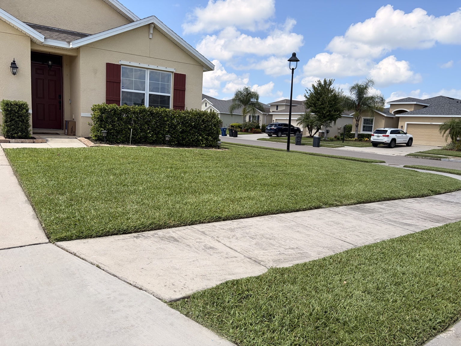 Freshly maintained lawn by NIHASH Lawn Care LLC
